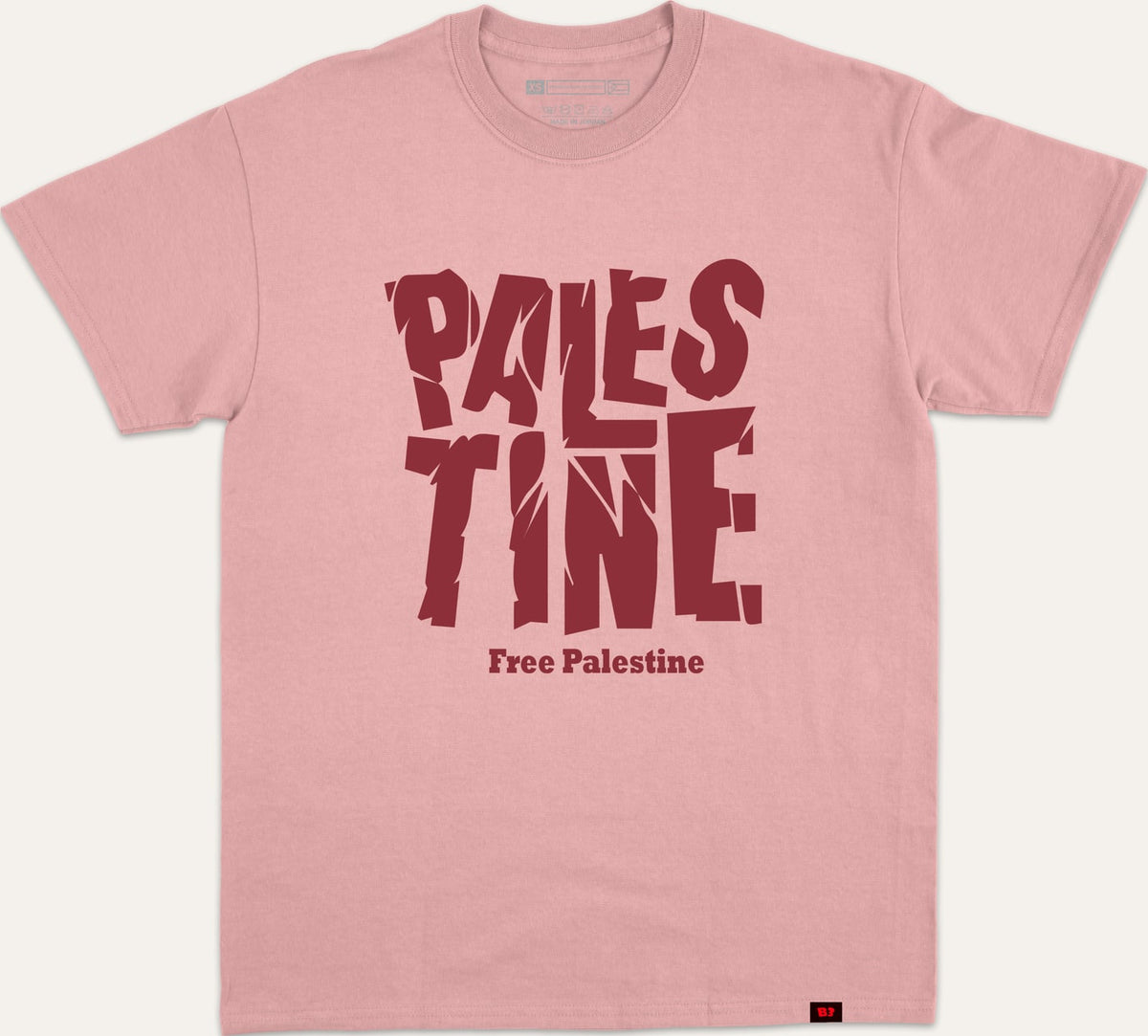 PALESTINE CRACKED FREE V1 - pink