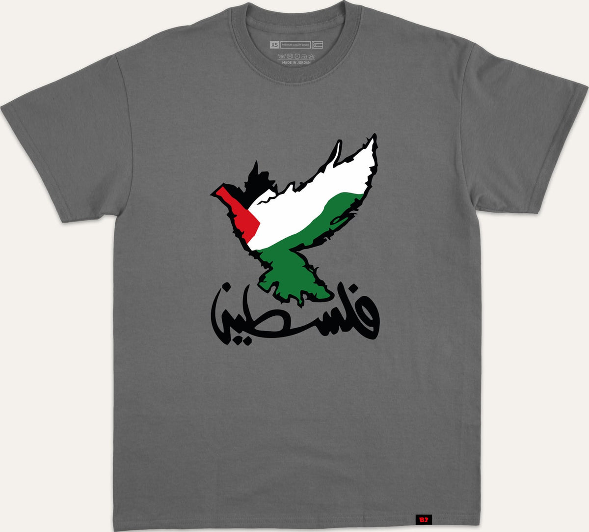 نسر فلسطين - charcoal