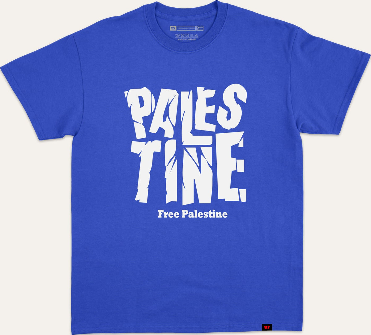 PALESTINE CRACKED FREE V1 - blue