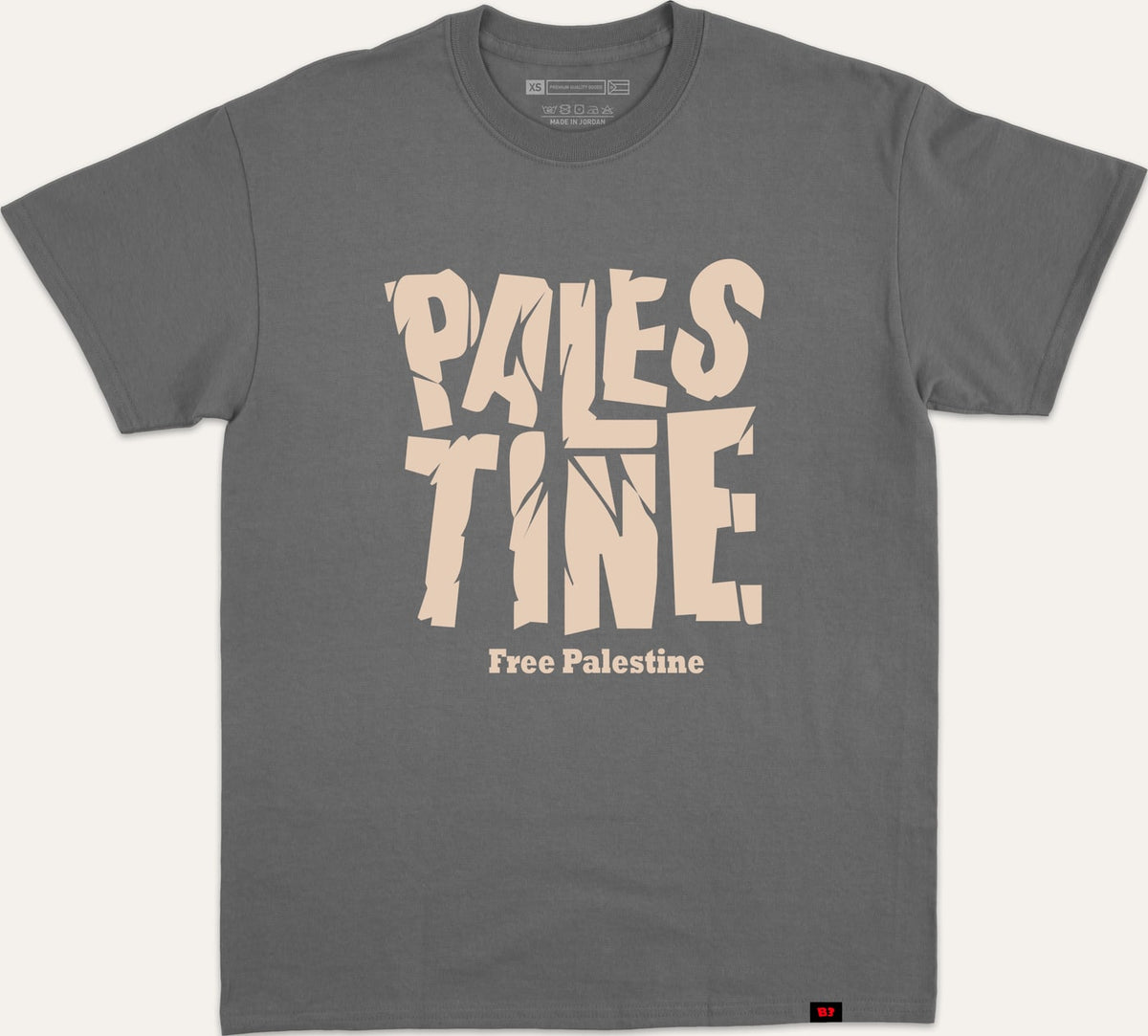 PALESTINE CRACKED FREE V1 - charcoal