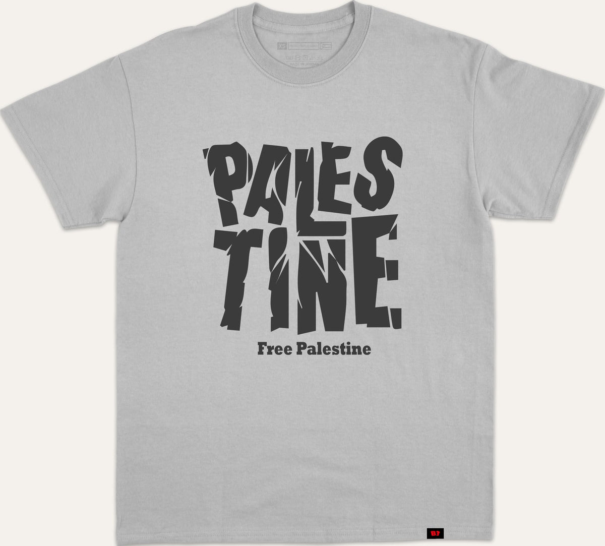 PALESTINE CRACKED FREE V1 - gray