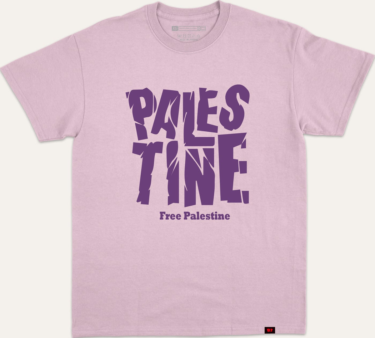 PALESTINE CRACKED FREE V1 - purple
